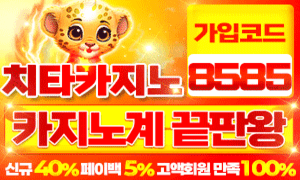 치타카지노